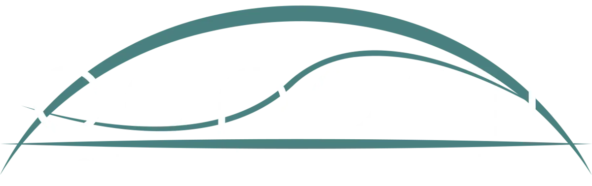 Bonomi logo