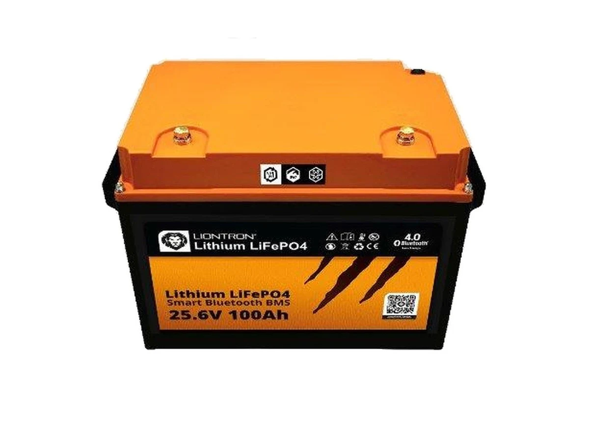 Liontron 24V/100Ah LX-MA -30°