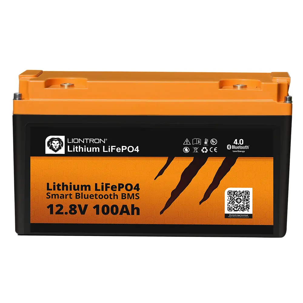 LX BMS 12.8V 100Ah