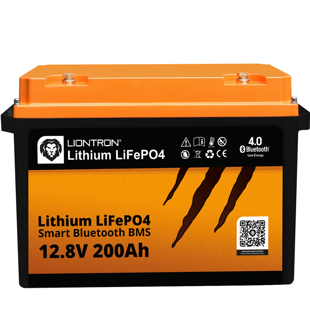 Liontron 12v battery family