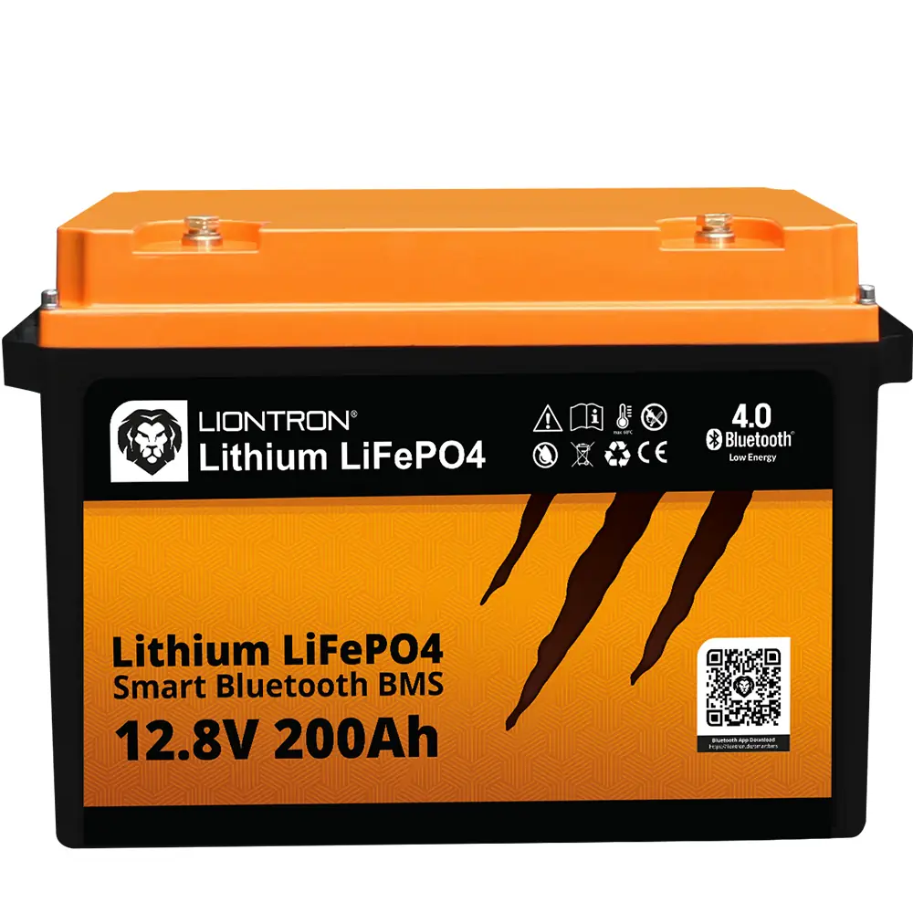Liontron 12v battery family