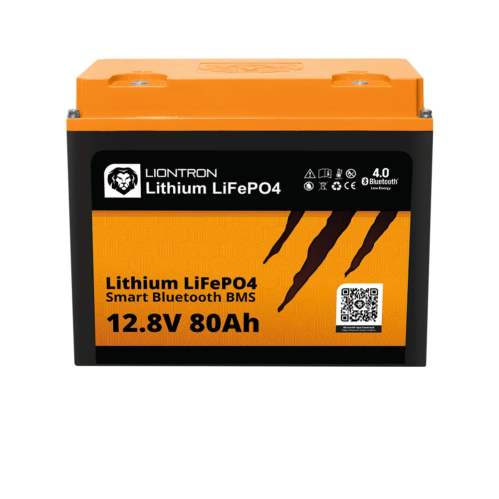 LX BMS 12.8V 80Ah
